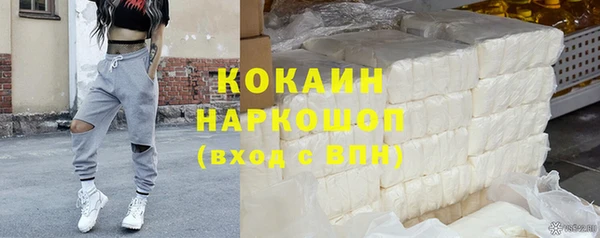 гидра Абаза