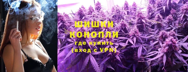 гидра Абаза