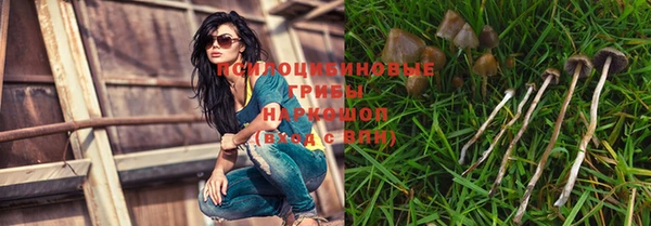 мяу мяу кристалл Алексин