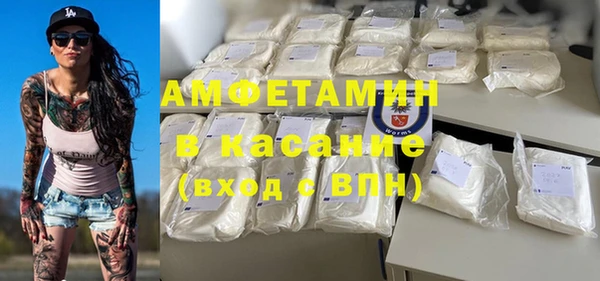 гидра Абаза