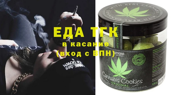 гидра Абаза