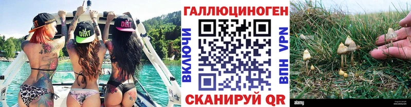 хочу наркоту  Железноводск  Псилоцибиновые грибы ЛСД 