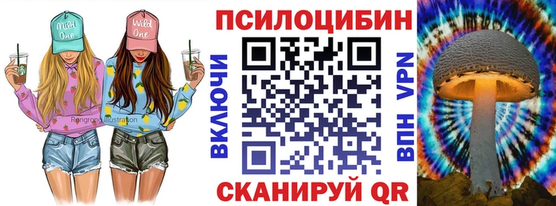 Галлюциногенные грибы Psilocybine cubensis Железноводск
